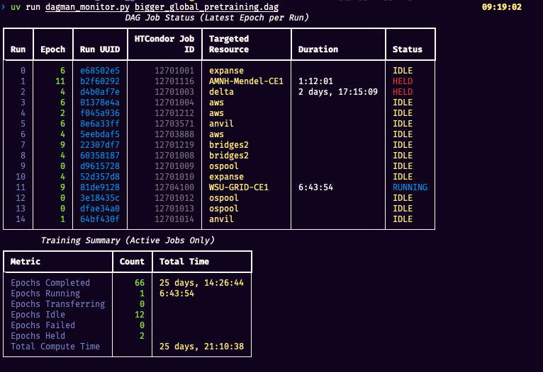 A screenshot showing the DAGMan monitor utility, providing an overview of the in-progress training runs.